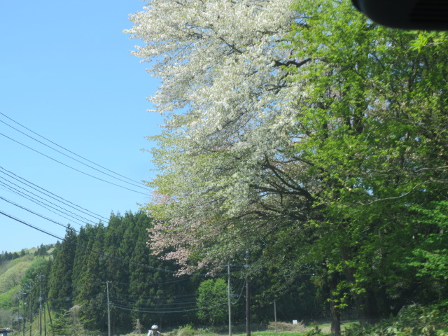 f0248616_11475469.jpg