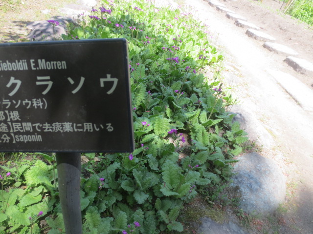 f0248616_11513716.jpg