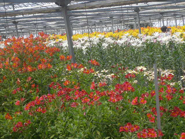 e0026017_1650168.jpg