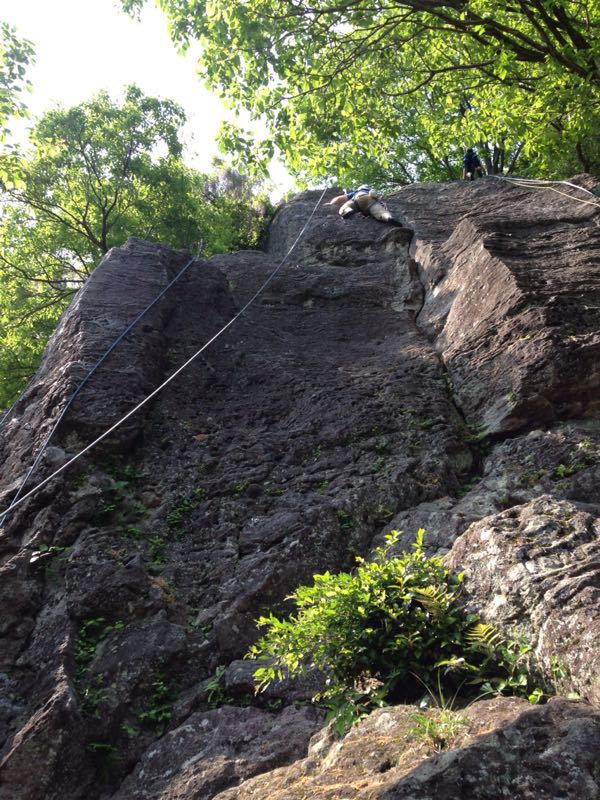 c0210618_20382319.jpg