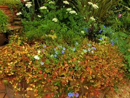 c0204121_2323699.jpg