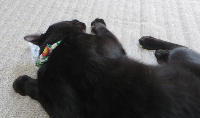 c0280322_16150849.jpg