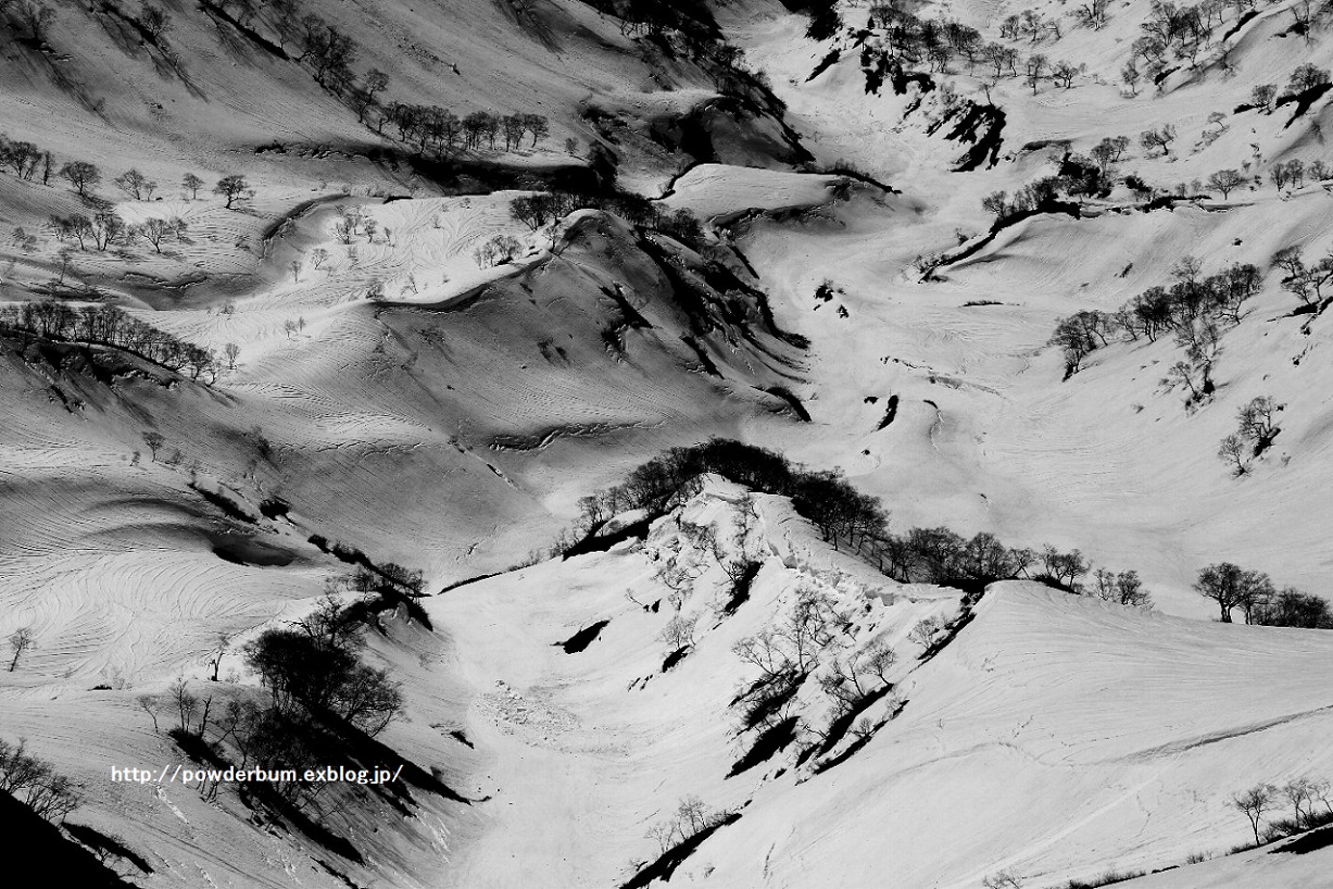 b0062024_16413859.jpg