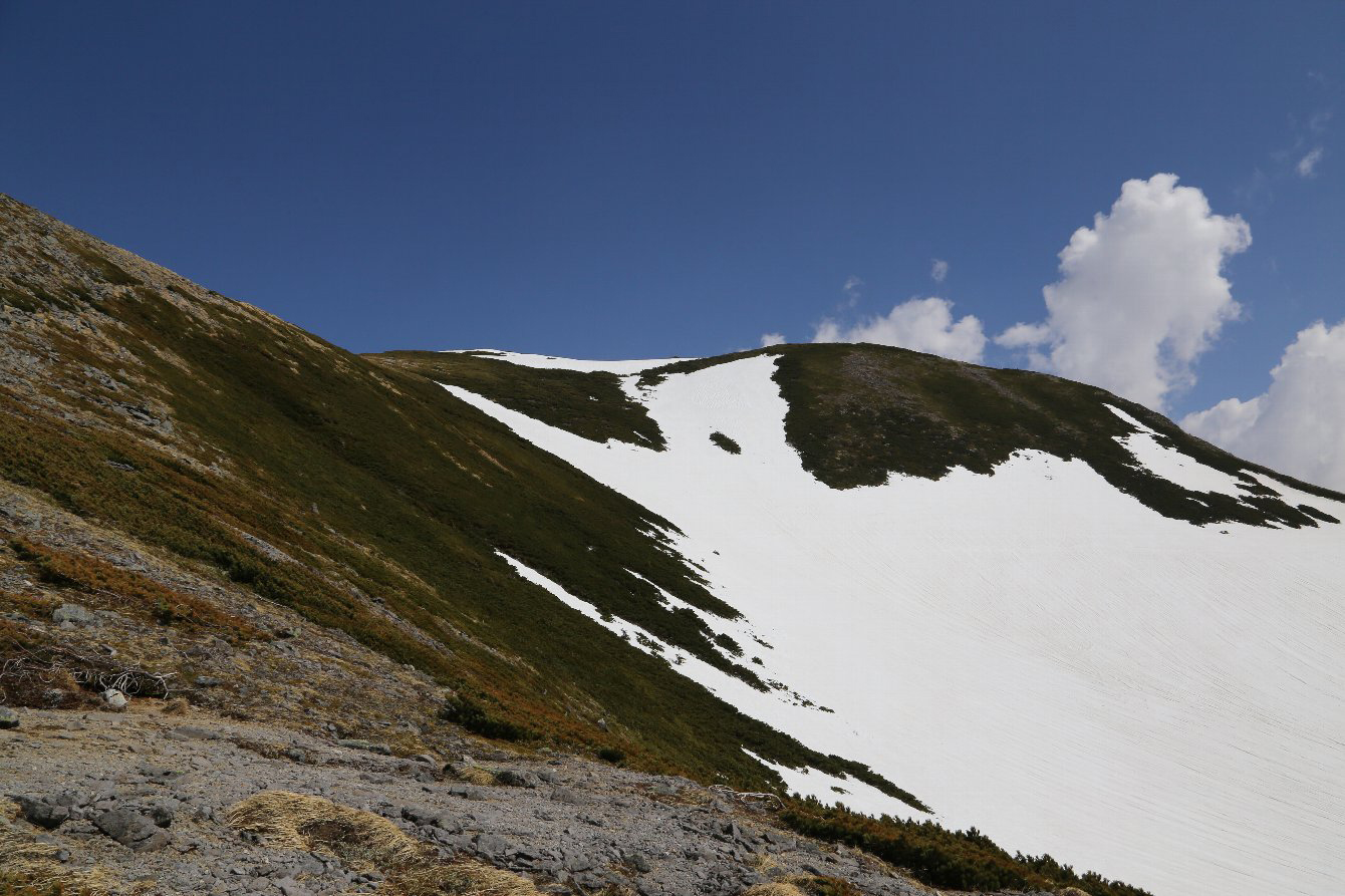 b0062024_170497.jpg