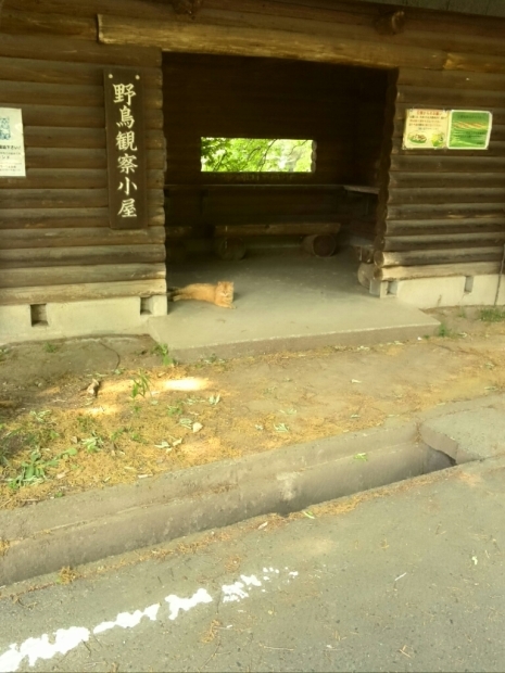 b0251624_13384836.jpg