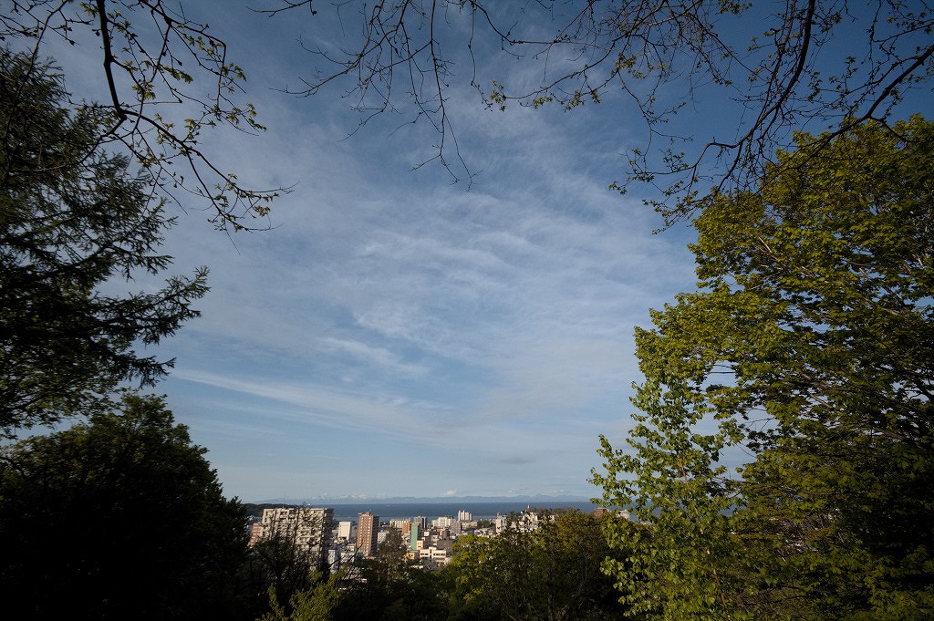 f0329325_757792.jpg