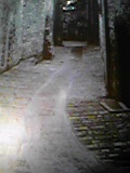 e0182926_23344855.jpg