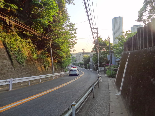 e0016828_1222638.jpg