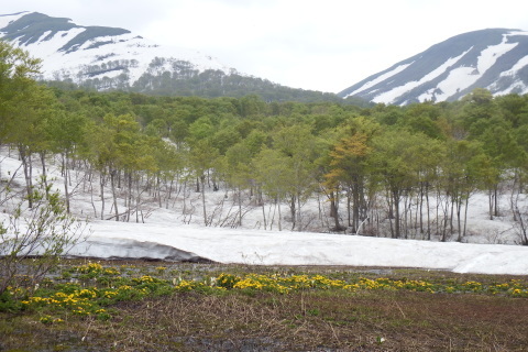 f0118332_00012055.jpg