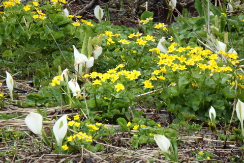 f0118332_00025632.jpg