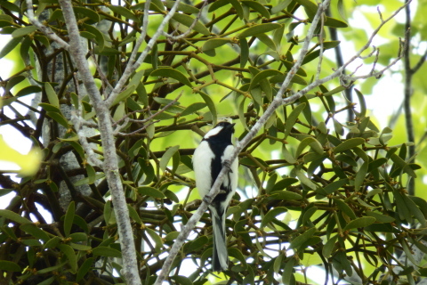 f0118332_00030902.jpg