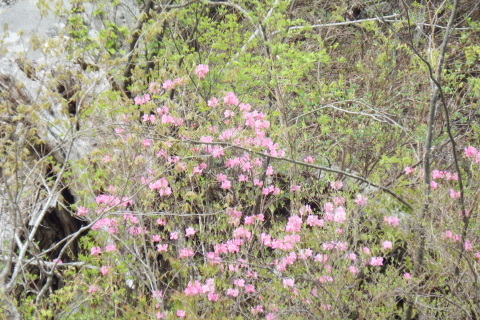 f0118332_00073890.jpg