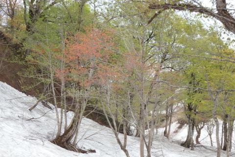 f0118332_00092614.jpg