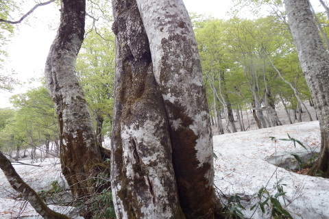 f0118332_00124225.jpg