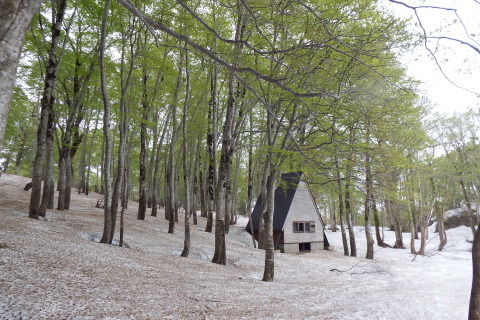 f0118332_00162033.jpg