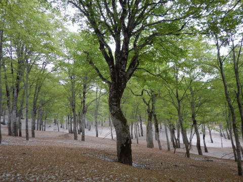 f0118332_00192164.jpg
