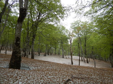 f0118332_00202365.jpg