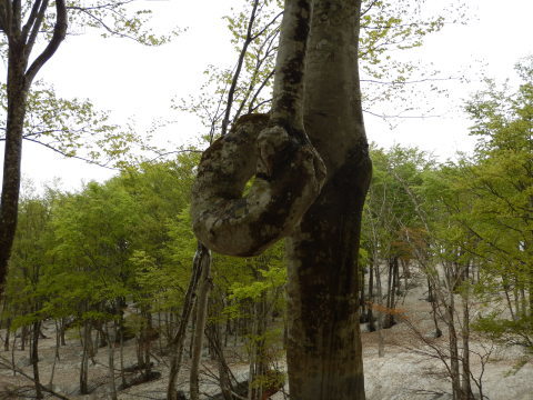 f0118332_00235114.jpg