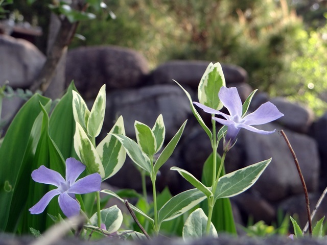 d0037233_09225928.jpg