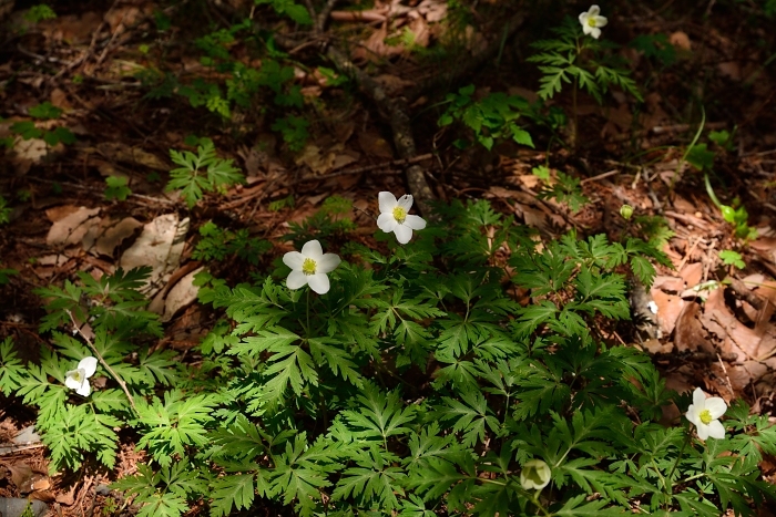 b0236334_212339100.jpg