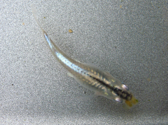 e0097534_14365297.jpg