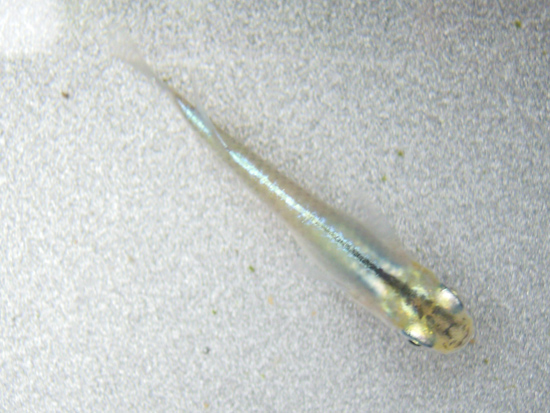 e0097534_14384993.jpg