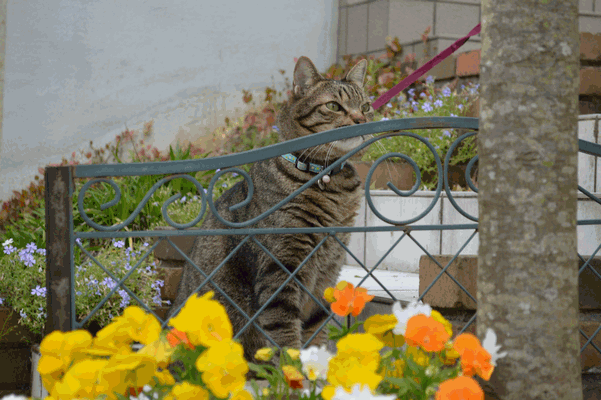c0136736_1623963.gif