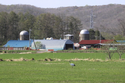 f0113639_18183684.jpg