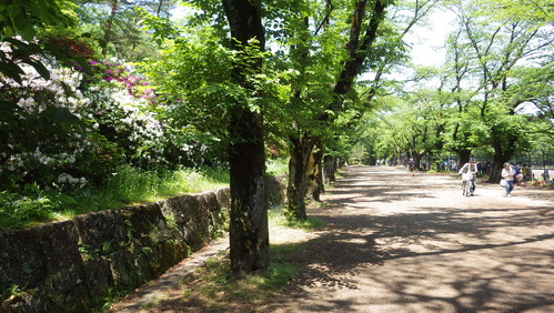 d0014748_16342685.jpg