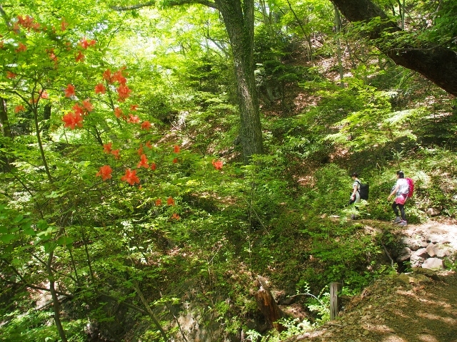 b0335256_20281360.jpg