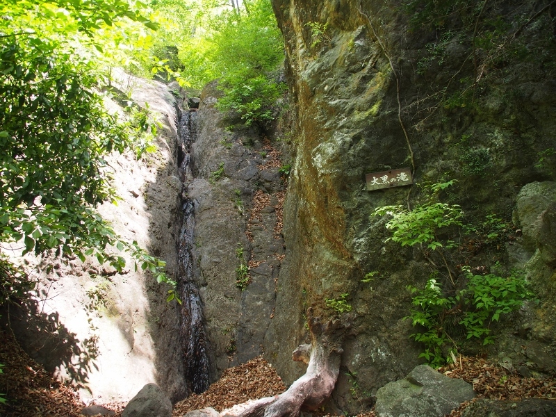 b0335256_20290529.jpg