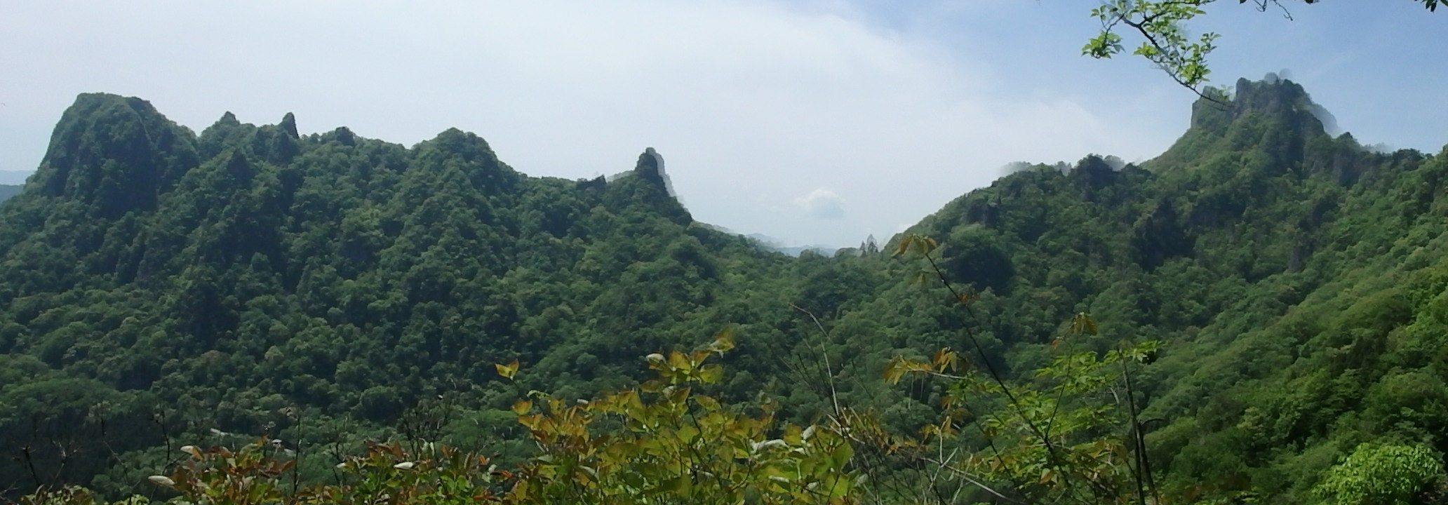 b0335256_20303549.jpg