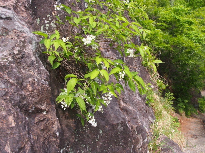 b0335256_20375793.jpg