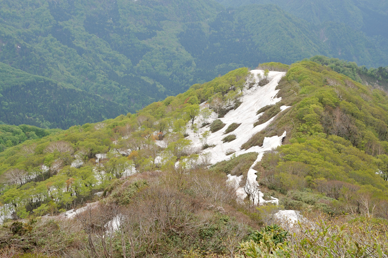 d0169556_7171750.jpg