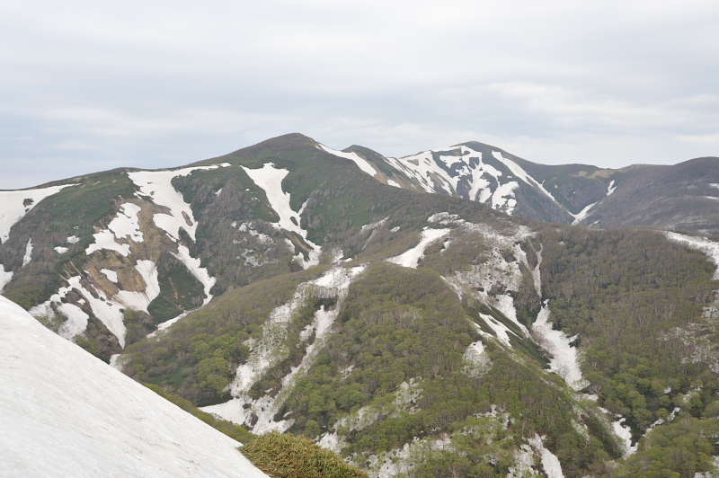 d0169556_7181961.jpg