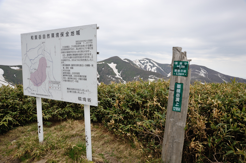 d0169556_722959.jpg