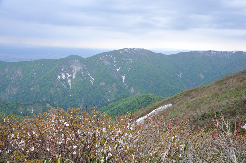 d0169556_723994.jpg