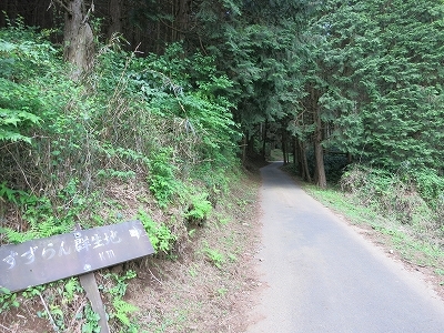 e0170558_23002306.jpg