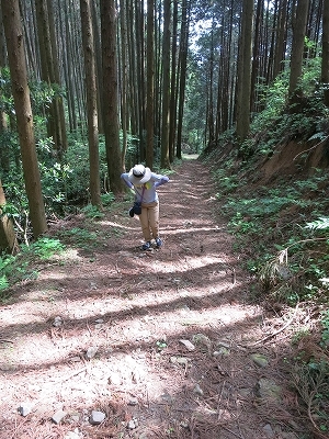 e0170558_23020535.jpg