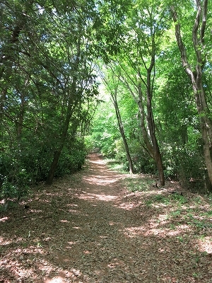 e0170558_23314478.jpg