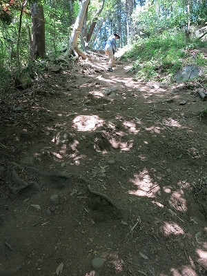 e0170558_23342405.jpg