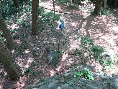 e0170558_23502623.jpg