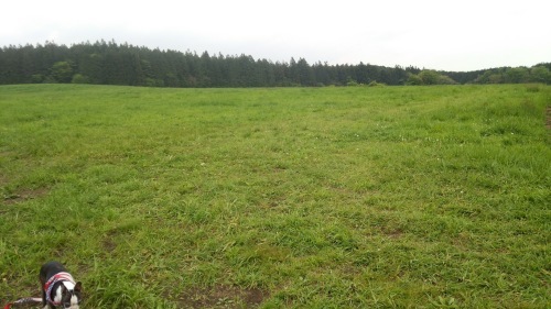 c0144868_20052941.jpg