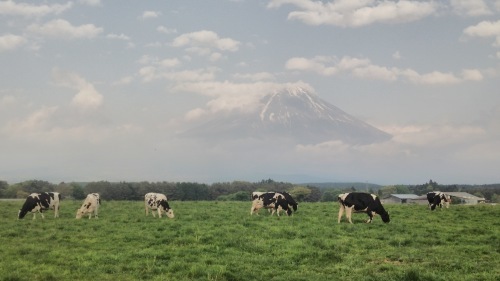 c0144868_20063762.jpg