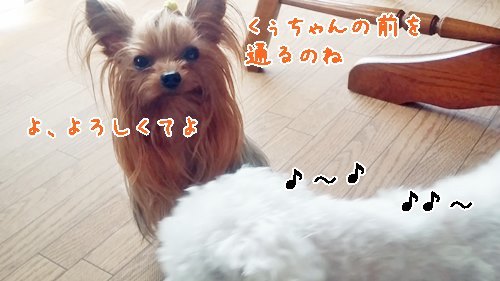e0248268_01322679.jpg