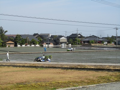 b0149071_15423832.jpg