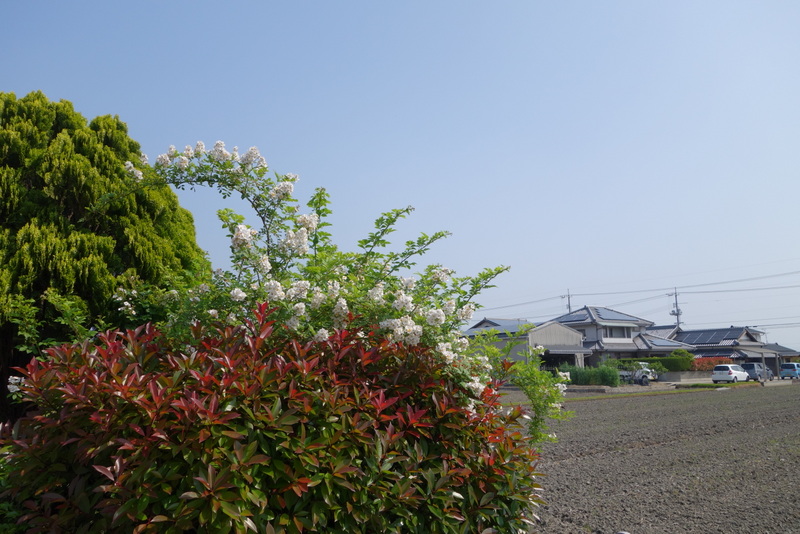 c0216472_21195489.jpg