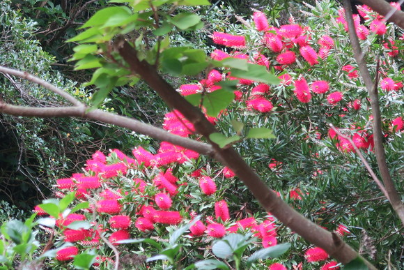 e0292172_20453092.jpg