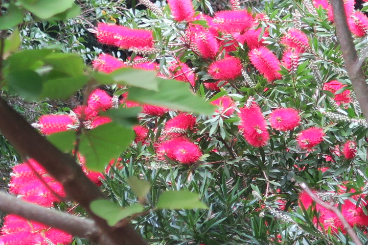 e0292172_20501683.jpg