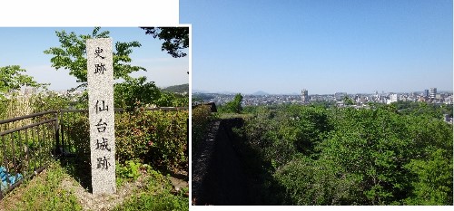 a0157174_1702764.jpg